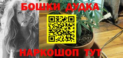 apvp Шелехов