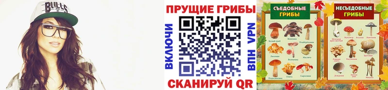 Псилоцибиновые грибы Psilocybine cubensis  Сорочинск 
